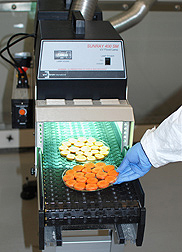 Pilot scale UV-B treatment of carrot slices at ARS’s Western Regional Research Center: Click here for photo caption.