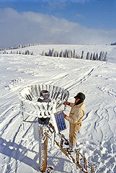 A technician examines the snowfall collected in a precipitation gauge on the solar-powered telemetry system at the Reynolds Creek Watershed: Click here for photo caption.