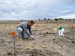 Plant physiologist Jeremy James sets up 1-square-meter plots for planting to determine seedling establishment: Click here for full photo caption.