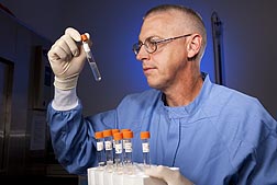 Technician Rick Hornsby of the Infectious Bacterial Diseases Research Unit examines culture medium for cloudiness, which indicates growth of Leptospira bacteria: Click here for photo caption.