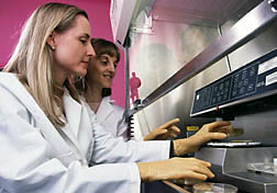 Food microbiologist Isabelle Babic (right) and technician Laurie Gould check honeydew melon samples for subsequent growth of disease-causing microbes.