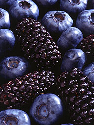 Better blackberries and blueberries