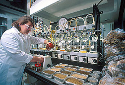 Technician analyzing concentrates and forages for fiber: Click here for full photo caption.
