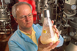 Microbiologist examining a fungal culture: Click here for full photo caption.
