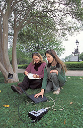 Technician and biological science aide evaluate termite infestation in trees: Click here for full photo caption.