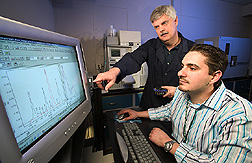 Chemical engineer and biologist monitor the purity and quantity of gossypol: Click here for full photo caption.