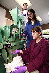 Technician feeds poultry manure into pellet mill while one chemist collects finished pellets and another chemist monitors the mill's operation: Click here for full photo caption. 