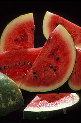 Watermelon: Click here for full photo caption.