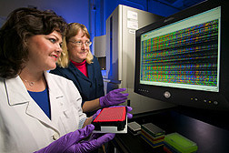 Technician and geneticist work on DNA-sequencing samples to identify molecular markers in cotton: Click here for full photo caption.