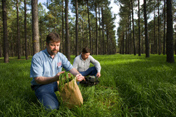 Soil scientist and technician collect samples of cool-season forage (annual ryegrass): Click here for full photo caption.