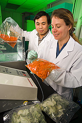 Technician samples modified atmosphere in packages of shredded carrots and fresh-cut Salad Savoy while visiting scientist tests packages for leaks: Click here for full photo caption. 