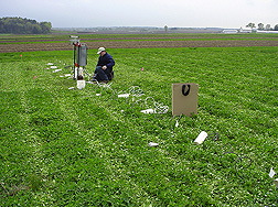 ARS technician installs soil moisture monitoring equipment in a kura clover living mulch experiment at a University of Wisconsin research farm in Arlington, Wisconsin: Click here for full photo caption.