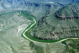 Aerial view of Arundo near Big Bend National Park, Texas: Click here for photo caption.