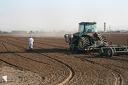 At an experimental site near Bakersfield, California, a tractor injects fumigants 46 centimeters deep into the soil while technician walks along the field and places boundary markers to identify the area of treated soil: Click here for full photo caption.