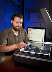 Technician G. John Lazur (formerly with ARS) scans soybean root with winRHIZO software to digitize root growth: Click here for photo caption.