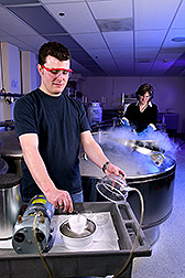 Technician Remi Bonnart (foreground) flash-freezes plant shoot tips while plant physiologist Christina Walters places cryopreserved materials into cryovats for long-term storage: Click here for photo caption.