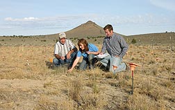 After junipers were removed on this field near Burns, Oregon, rangeland scientist Tony Svejcar (left), technician Lori Ziegenhagen, and plant physiologist Jeremy James examine the establishment of bluebunch wheatgrass as part of research to improve range restoration: Click here for photo caption.