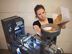 Biological science aide Anne Berry puts wheat in the hopper of a color-image sorter: Click here for full photo caption.