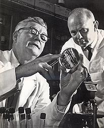 John L. Etchells (on the left) led the ARS food science laboratory in Raleigh, North Carolina, from 1937 until 1975. Etchells is shown here conferring with Tom Bell, research leader of the lab from 1975 to 1977. 