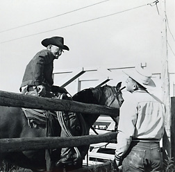 Rancher Spud (Frank) Horton (on horse) visits with ARS rangeland scientist Robert Bement during a study to weigh cattle in the 1960s at an experimental range.