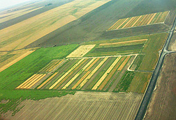 ARS scientists at Pendleton, Oregon, developed a soil carbon model called CQESTR to estimate how climate change will affect soil organic carbon stocks in research plots like this one in Ralston, Washington.