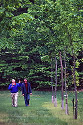 Plant geneticist and gardener observe growth of young American elm selections. 
