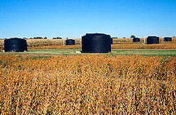 Six-thousand gallon water tanks: Click here for full photo caption.