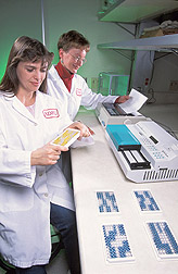 Two technicians conduct a CI-ELISA: Click here for full photo caption.