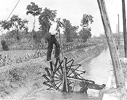 Plant explorer on a waterwheel: Click here for full photo caption.