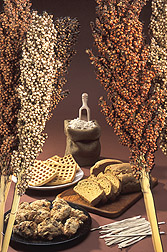 Sorghum stalks and some products produced from the grain: Click here for full photo caption.