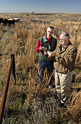 Two rangeland scientists examine plant species: Click here for full photo caption.