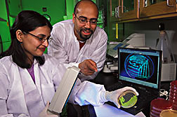 Graduate student and microbiologist examine expression of green fluorescent protein: Click here for full photo caption.