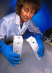 A cryopreservation specialist removes grape buds from storage for regeneration. Click here for full photo caption.