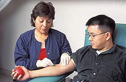 Phlebotomist draws a blood sample from volunteer: Click here for full photo caption.