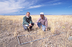 Rangeland scientist and range science technician record types of vegetation: Click here for full photo caption.