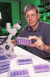 Physiologist uses a neutralizing antibody test: Click here for full photo caption.