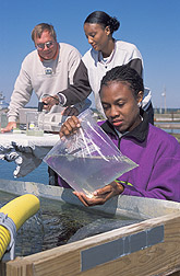 Technician samples water to be processed by student assistant and microbiologist: Click here for full photo caption.