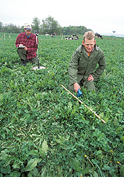 Agronomist and technician collect data: Click here for full photo caption.