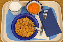 Refined rice cereal, milk, and canned apricots: Click here for full photo caption.