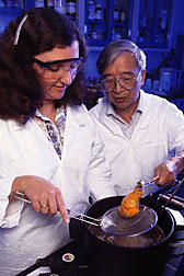 Biochemist and chemist demonstrate the fried chicken coating made from low-fat-uptake rice flour batter: Click here for full photo caption.