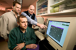 Computer-assisted sperm analysis facilitates evaluation of Hog Island ram samples by technician (left), physiologist (center), and geneticist: Click here for full photo caption.