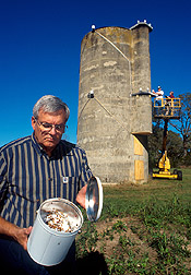 Tedders examines lady beetles collected from silo: Link to photo information