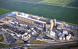 A Riceland Foods, Inc., rice and soybean storage and processing facility.