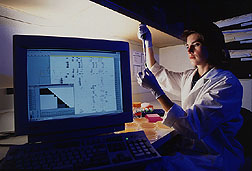 Scientist withdraws DNA from bacteria taken from soil infected with wheat take-all. Click for full photo caption.