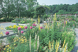 View of the National Herb Garden: Click here for full photo caption.
