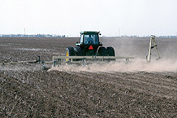 A disk bedder throwing up beds in preparation for planting: Click here for full photo caption.
