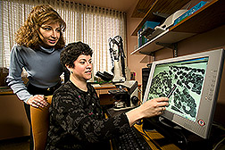 Physician and exercise physiologist examine a digital image of skeletal muscle: Click here for full photo caption.