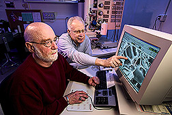 Research associate and research leader use a scanning electron microscope: Click here for full photo caption.