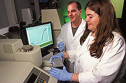 Molecular biologist and technician study the expression of genes in root hair cells: Click here for full photo caption.