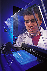 Postdoctoral research associate uses gel electrophoresis of DNA to clone genes: Click here for full photo caption.